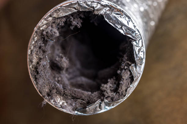 Best HVAC Duct Inspection Services  in Loughman, FL